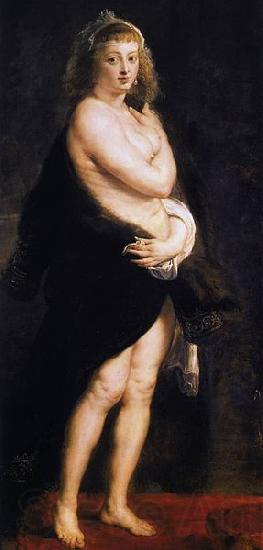 Peter Paul Rubens The Fur Spain oil painting art